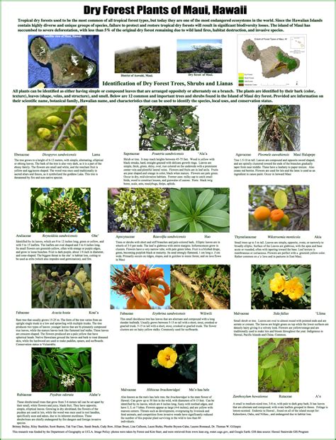 Tropical Dry Forests Of The Pacific Hawaii Species Poster