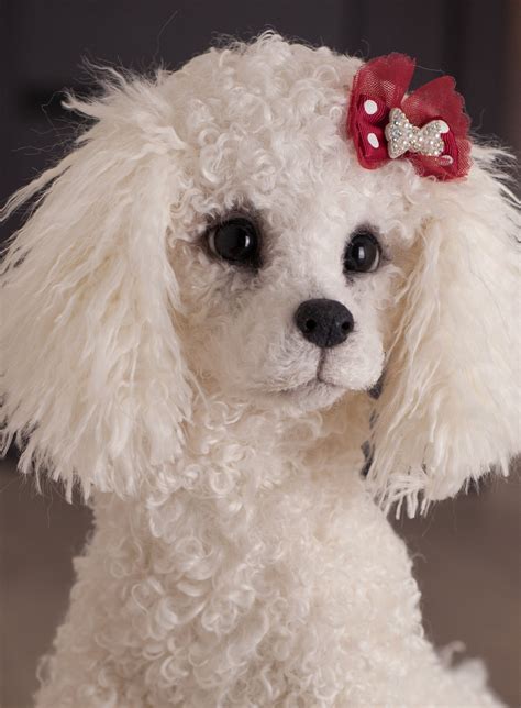 Puppy Jessica Realistic Toy Replica Poodle Dog Made To Etsy