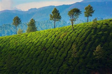 It is noteworthy that kerala is the first state in india to welcome the monsoon. Kerala travel | India - Lonely Planet