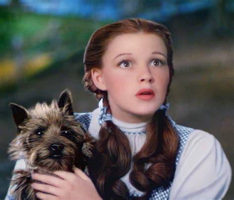 Collection 103 Images Toto Wizard Of Oz Pictures Updated 102023