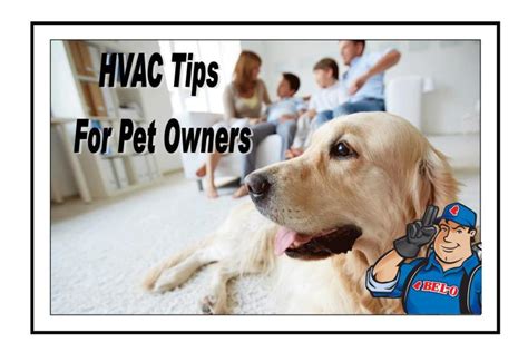 Hvac Tips For Pet Owners Beloman