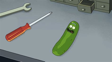 Pickle Rick Wallpapers Top Free Pickle Rick Backgrounds Wallpaperaccess