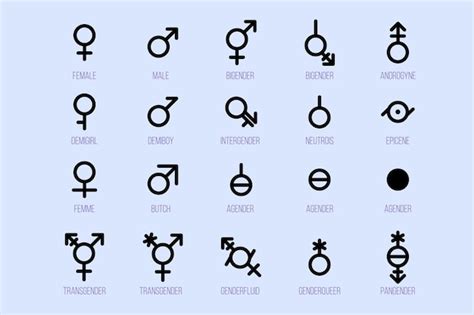 Conjunto De Símbolos De Género Signos De Orientación Sexual Vector