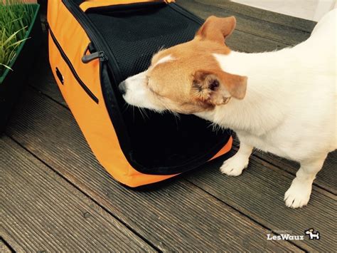 Hat jemand erfahrungen bei welcher fluggesellschaft hallo habe das schön öfters mitgemacht, ist jedes mal ein neues theater, so einen gleitschirm im flieger mitzunehmen. 10 Tipps für das Fliegen mit Hund - LesWauz