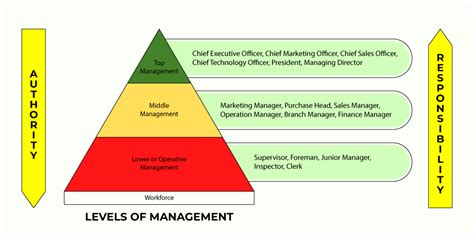 What Are The Top Three Levels Of Management