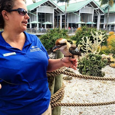 Robert On Instagram Visiting With Merlin Seaworld Seaworldorlando