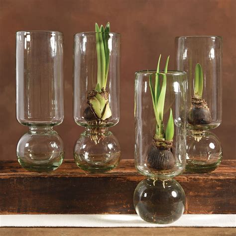 Tall Recycled Glass Bulb Vase By Homart Bulb Vase Glass Bulbs Vase Set