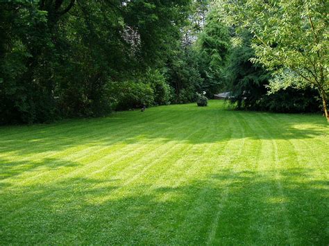 Check spelling or type a new query. What a lawn | It was a nice day, i just mowed the lawn (whic… | Flickr