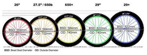 Mtb Wheel Sizes Guide 650 And 29 Explained Planet X Bikes