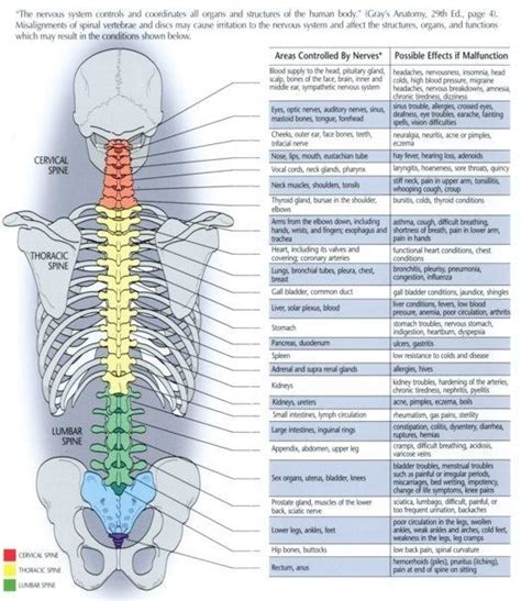 Become Knowledgable About Chiropractic Care By Reading This