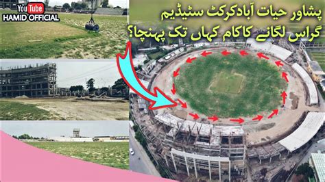 Hayatabad Cricket Stadium Peshawar Latest Updates Grass Installation