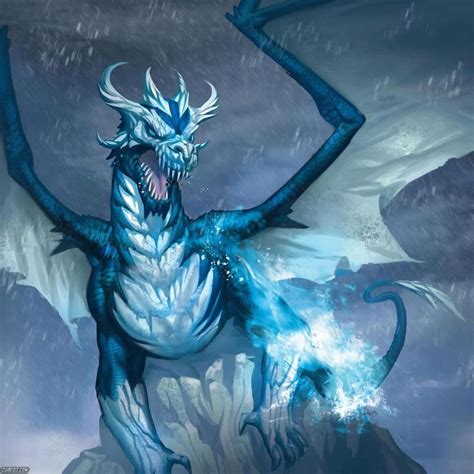 Snow Ice And Frost Dragons Fantasy Dragon Dragon Artwork Dragon