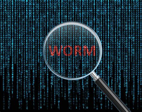 Top Tools To Defend Your Network Against Computer Worms