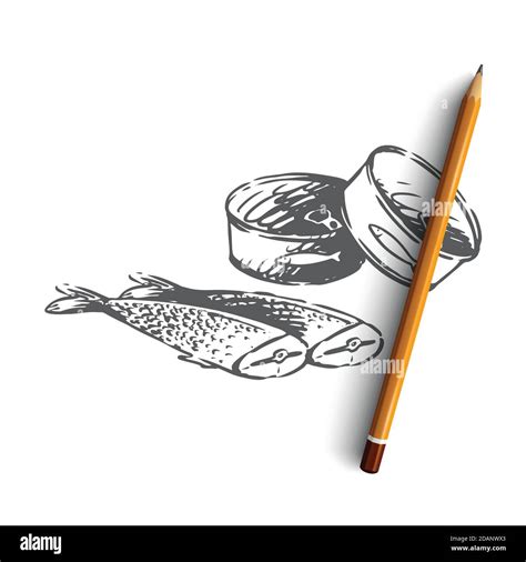 Food Seafood Fish Tuna Canned Food Concept Hand Drawn Isolated