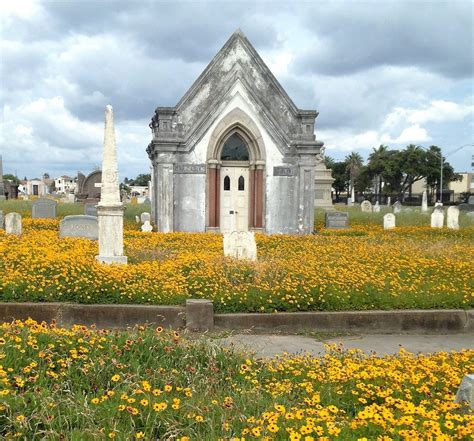 Historic Cemeteries Across Texas Are Scattering Wildflower Seed Texas