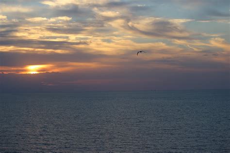 Free Images Sea Coast Water Ocean Horizon Bird Cloud Sky Sun