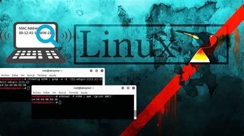 Comandos Esenciales De Kali Linux Que Debes Conocer Gu A Completa Para Principiantes