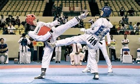 Vietnam Win 35 Golds At Asian Open Taekwondo Championship