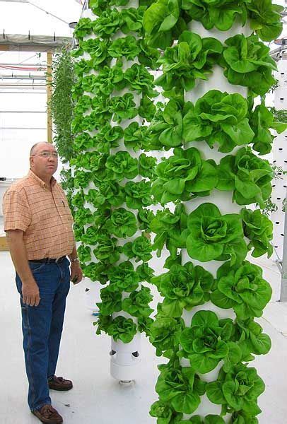 This diy vertical grow tower is perfect for growing strawberries or other similar running vines. Pin on Hydroponic