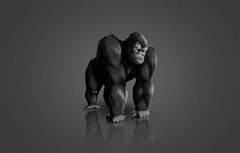 Elegant Zoom Meeting Virtual Background Gorilla Wallpaper Images