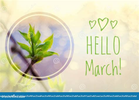 Greeting Card Hello March Welcome Card The Beginning Of Spring Stock