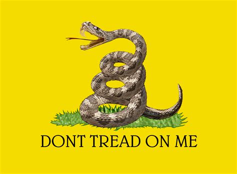 Don't you tread on me cause i will knock you down some days it seems it's not worth it the fight in me is all gone and i'm not trying to be perfect but just get one damn thing done before i lose control i pick myself from the floor before you're pointed at me there is a possibility. DONT TREAD ON ME | Flickr - Photo Sharing!