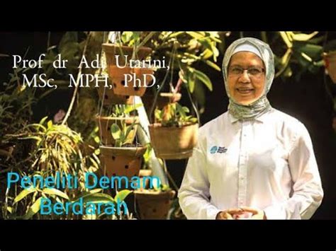Prof Dr Adi Utarini Msc Mph Phd Ilmuwan Ilmuwanmuslim Youtube