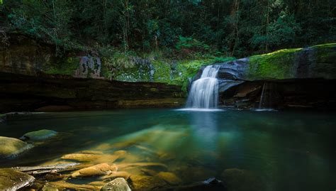 Somersby Falls Nsw Location Guide Focus