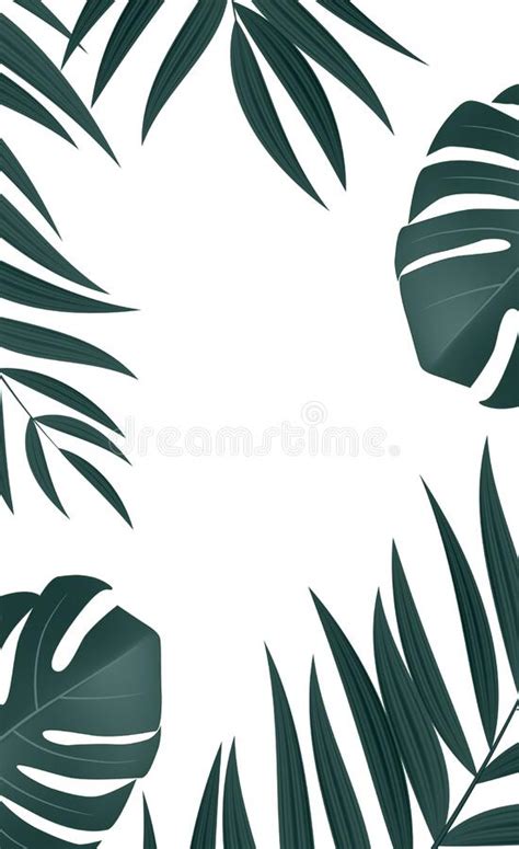 Natural Realistic Palm Leaf Tropical Background Vector Illustration