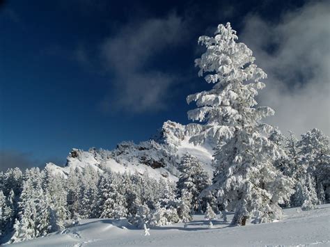 World Most Beautiful Snow Scenes Wonderlands Americas Most