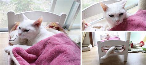 Japanese Cat Owners Turn Ikea Doll Beds Into Adorable Cat Beds Katil