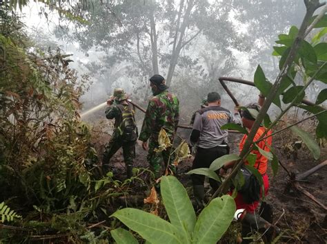 Polisi Menangkap Petani Pelaku Pembakaran Hutan Di Riau Lontar Id