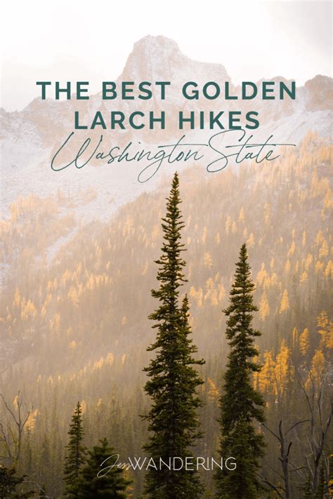 The Best Golden Larch Hiking Trails In Washington State Jess Wandering
