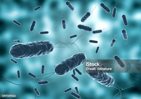 Colony Of Vibrio Cholera Seen By Electron Microscope Selective Focus