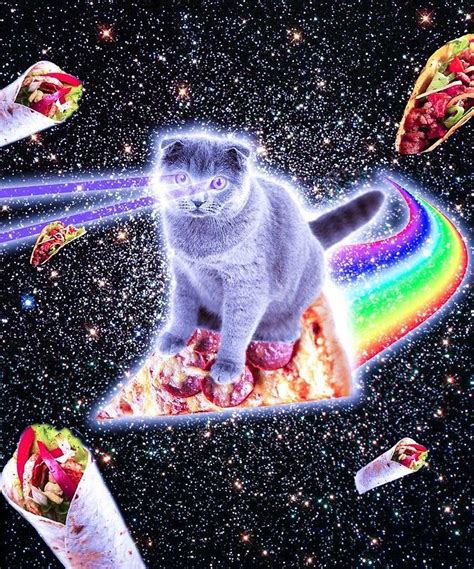 Laser Eyes Space Cat Riding Rainbow Pizza Poster Space