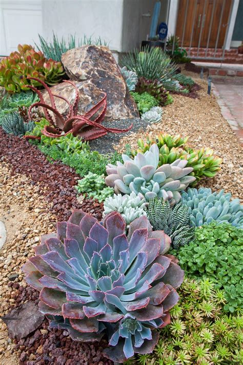 15 Delightful Succulent Gardens That Will Inspire You