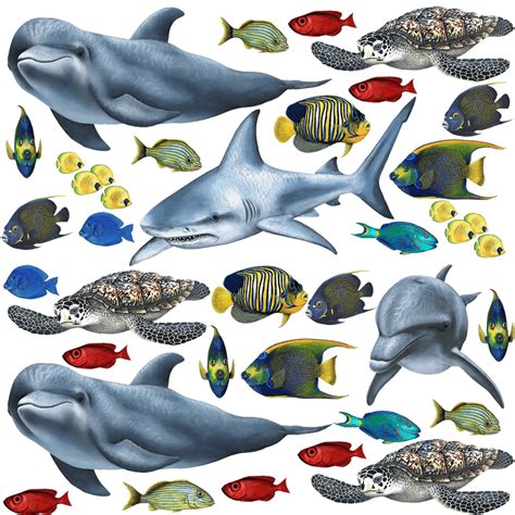 Tropical Fish And Sea Creatures Collection Economy Size Turtle Wall