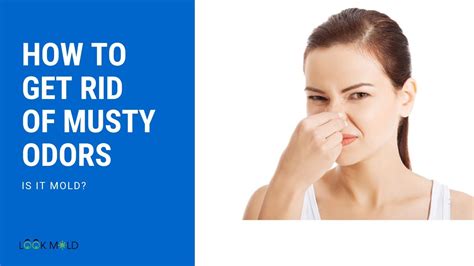 How To Get Rid Of Musty Odors Or Smell Is It Mold Youtube