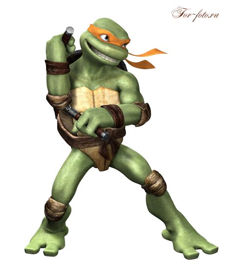 Michelangelo Leonardo Raphael Donatello Teenage Mutant Ninja Turtles