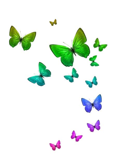 Premium Photo Tropical Flock Of Flying Colored Butterflies Isolated