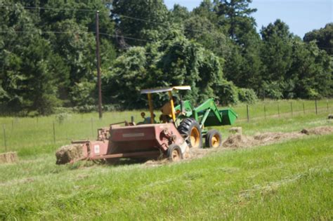 Baling Hay And Flowers