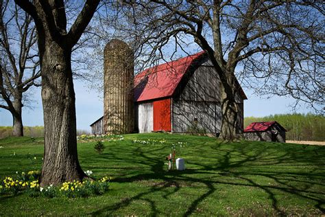 Barn With Silo In Springtime Photograph By Mary Lee Dereske Fine Art