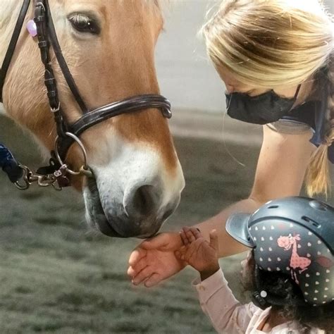 Little Bit Therapeutic Riding Center Microsoft Alumni Network