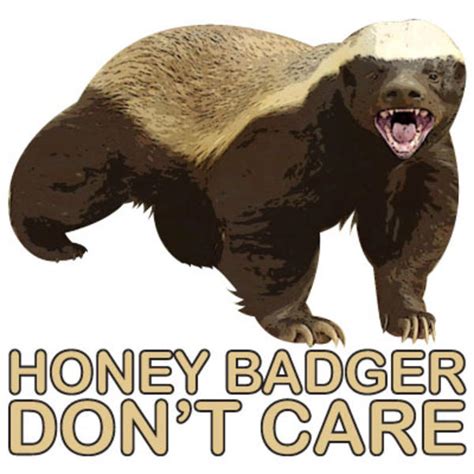 Honey Badger Dont Care Honey Badger Know Your Meme