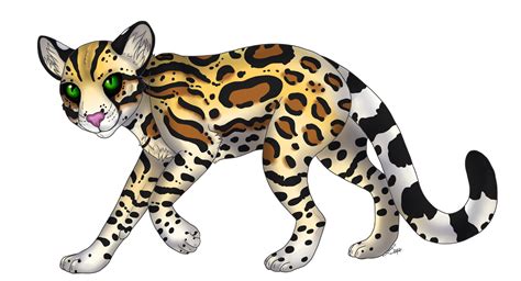 Leopard Clipart Ocelot Leopard Ocelot Transparent Free For Download On
