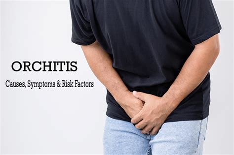 Orchitis Causes Risk Factors And Symptoms Urolife Clinic Pune
