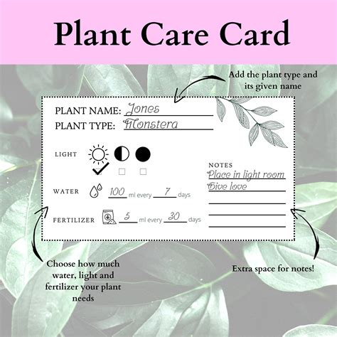 Minimalistic Plant Care Card Digital Download Printable Instant