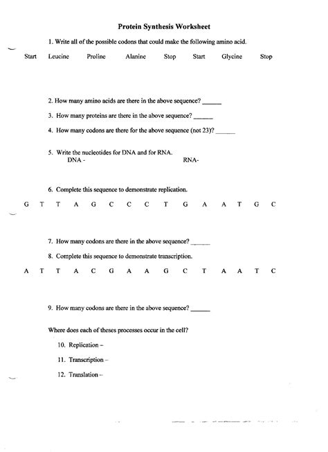Transfer rna (trna) and ribosomal rna (rrna), both of which are involved in the process of translation. 26 Comparing Dna Replication And Transcription Worksheet ...