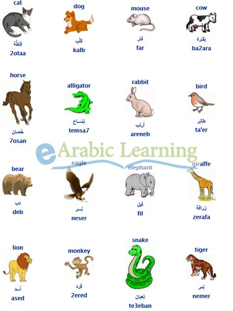 11 Domestic Animals Names In Arabic With Pictures Background Temal