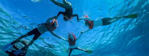Eleuthera Dive Tahiti Reviews Photos And Special Rates Bluewater Dive
